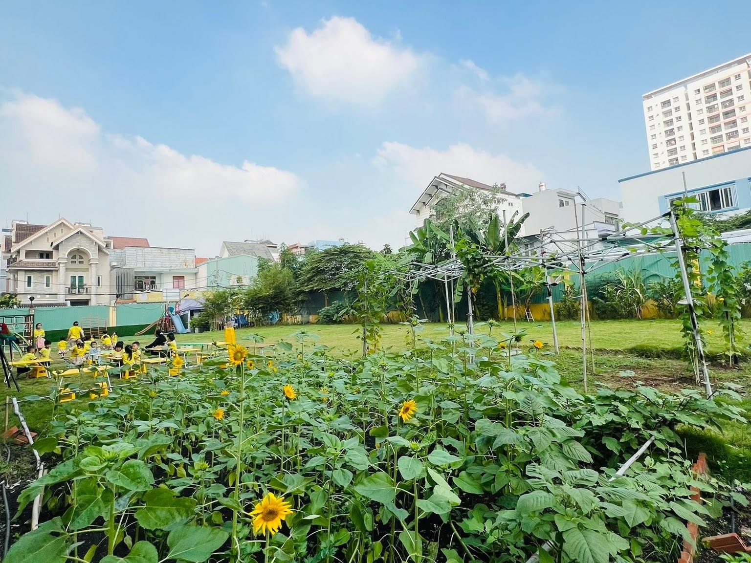 kinh nghiệm quan sát khi đi tham quan trường mầm non