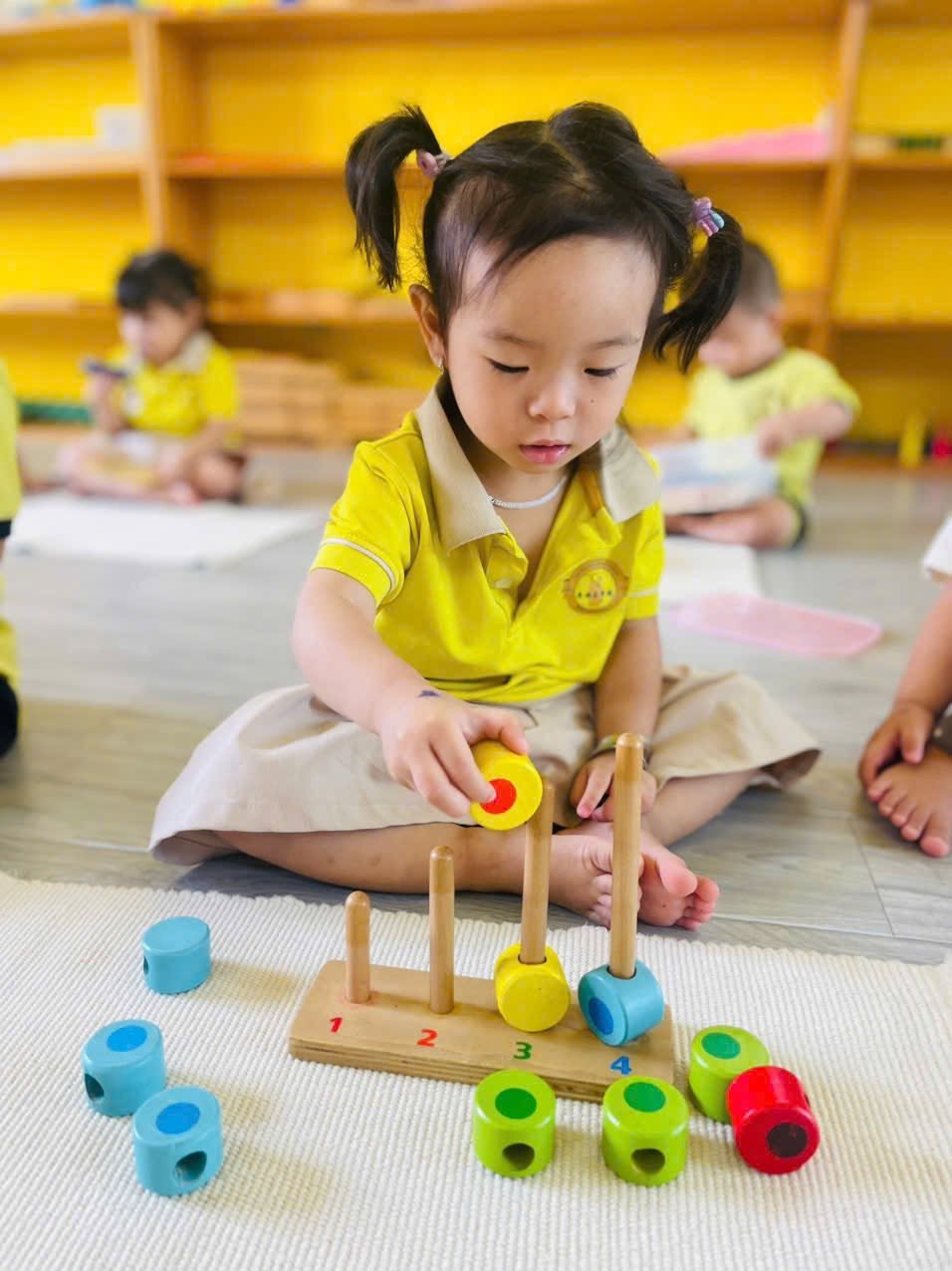 Phân loại và sắp xếp quy luật rèn luyện khả năng quan sát logic