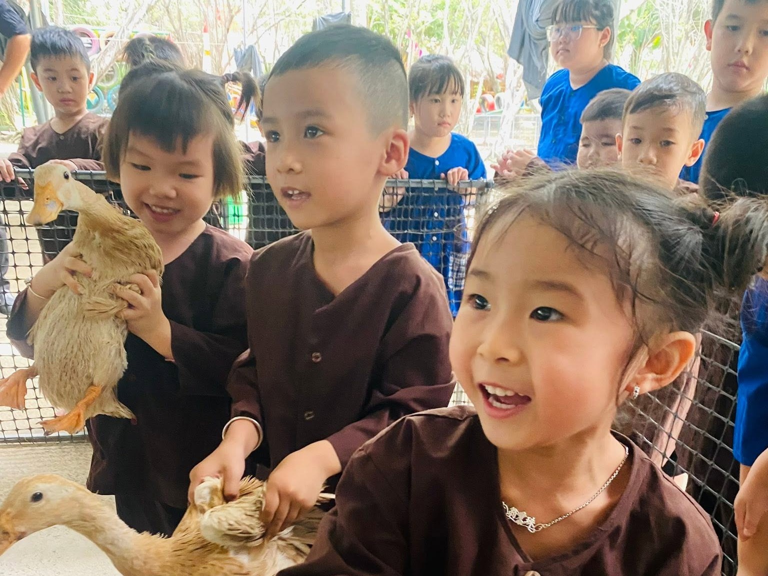 So Sánh Montessori Và Reggio Emilia, Steiner: Phương Pháp Nào Tốt Nhất Cho Con?